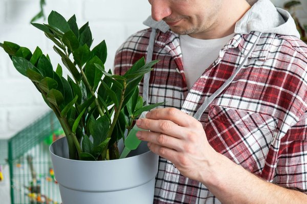In che modo la personalizzazione dell'ECU può influenzare le prestazioni di accelerazione in una moto sportiva?