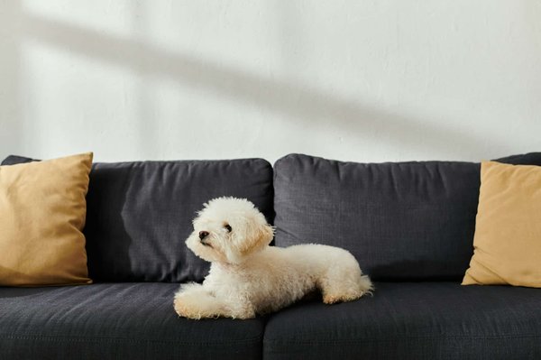 Come creare un look ispirato al cinema noir con capi moderni?